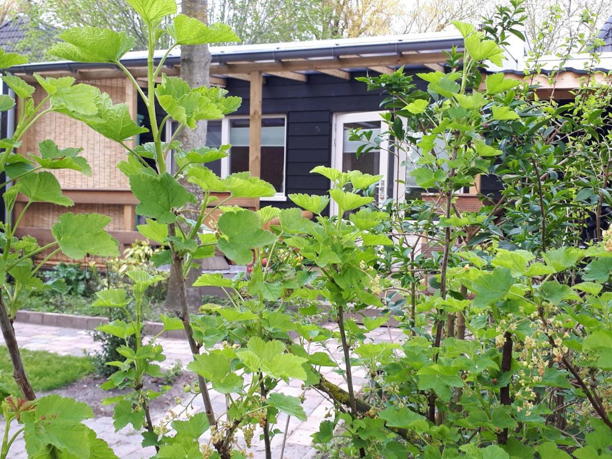 B&B Het Molensteegje Andijk Exterior photo